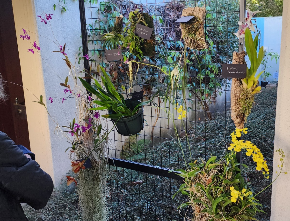 20251106_155801 (1200)