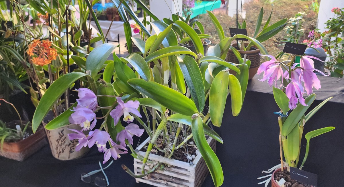 20251106_160247 (1200)