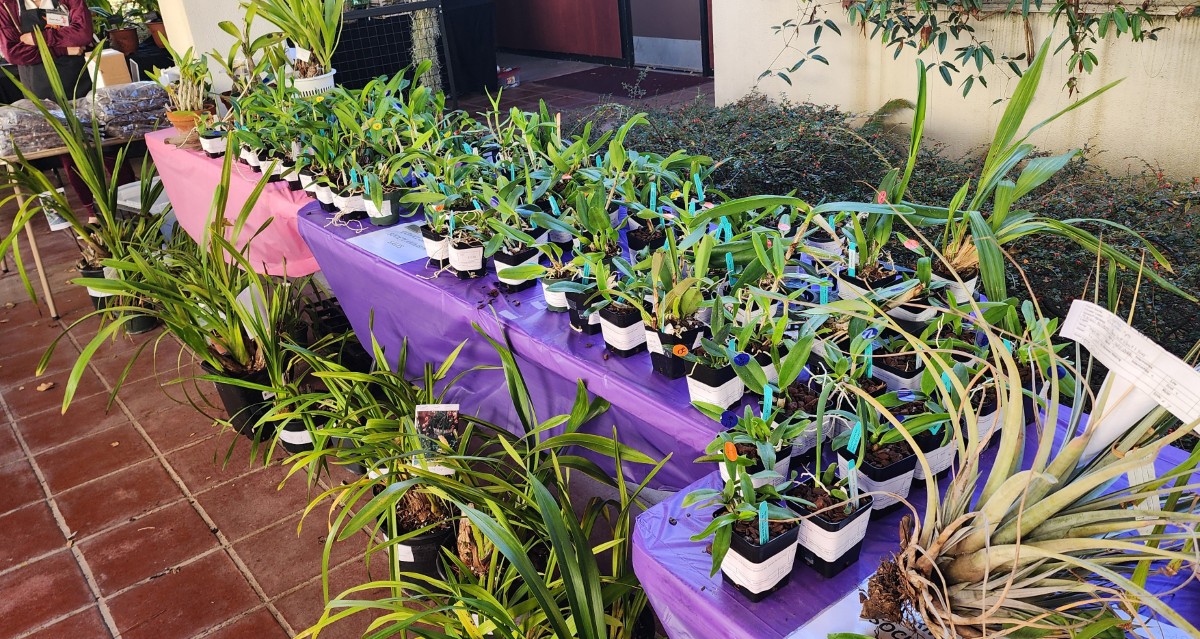 20251107_092305 (1200)