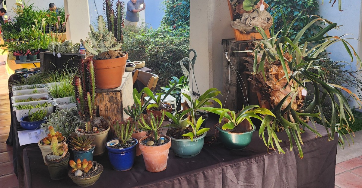 20251107_092414 (1200)